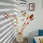 Adorable Departamento!